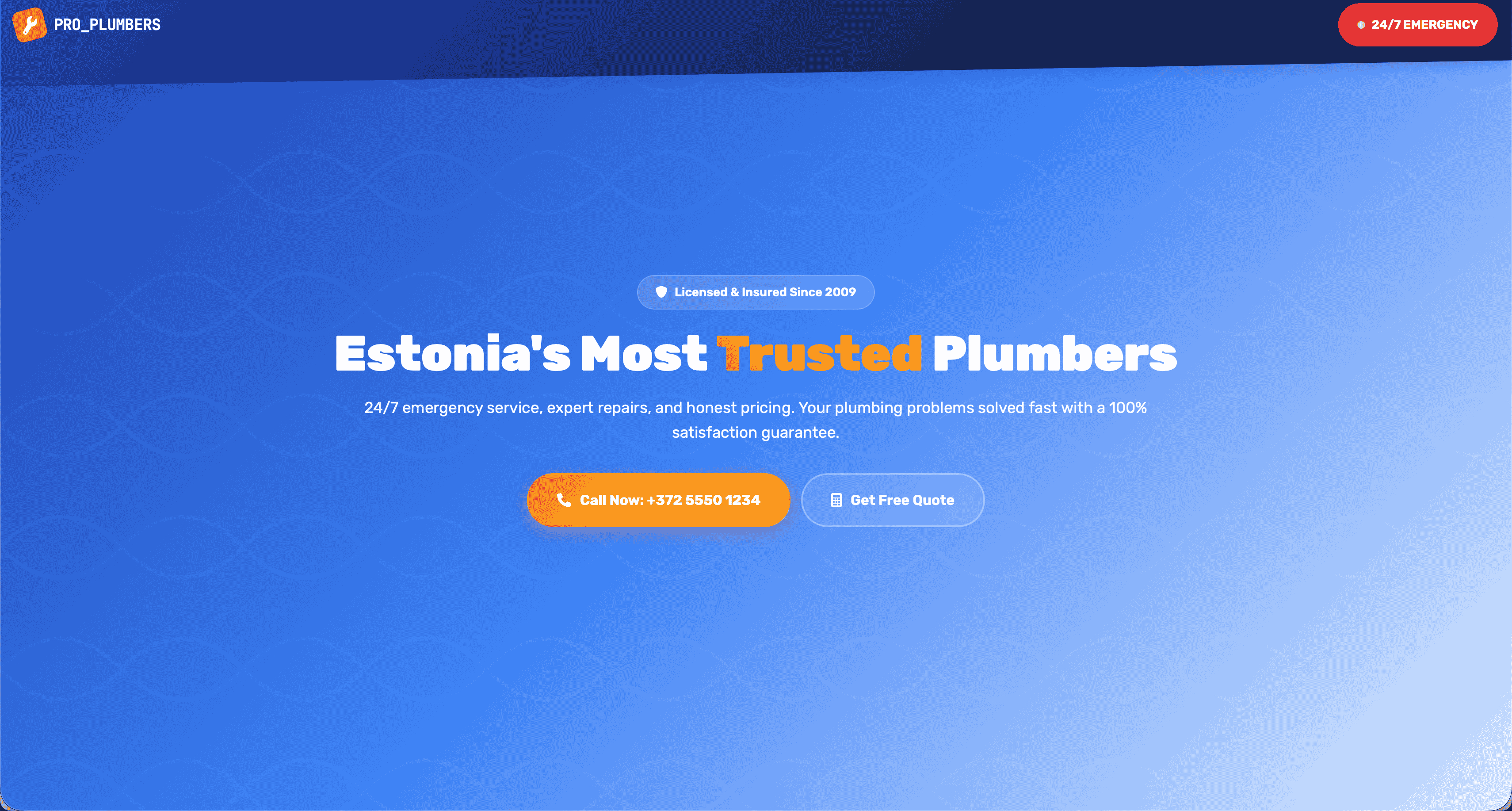 Pro Plumbers